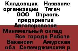 Кладовщик › Название организации ­ Тягач 2001, ООО › Отрасль предприятия ­ Автоперевозки › Минимальный оклад ­ 25 000 - Все города Работа » Вакансии   . Амурская обл.,Селемджинский р-н